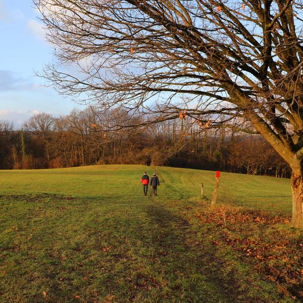 WahnerHeide_Altenrath_Weg_Wagner