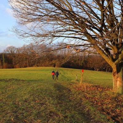WahnerHeide_Altenrath_Weg_Wagner