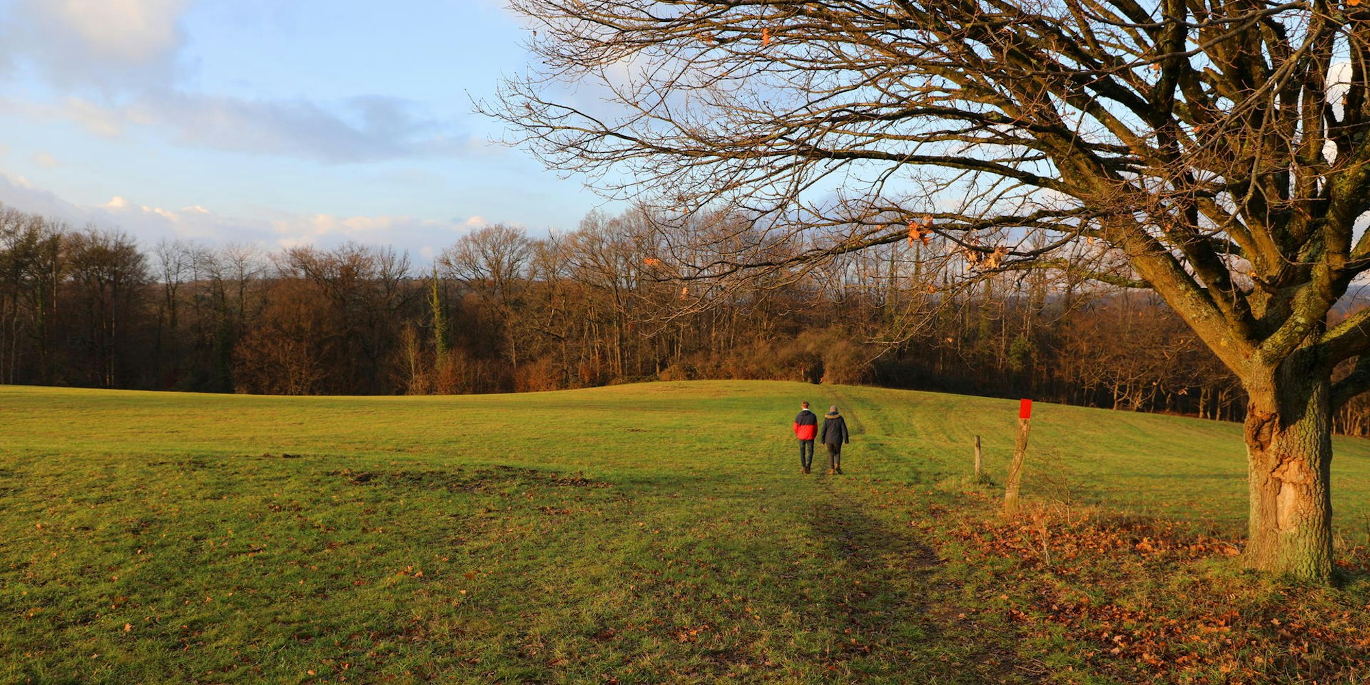 WahnerHeide_Altenrath_Weg_Wagner