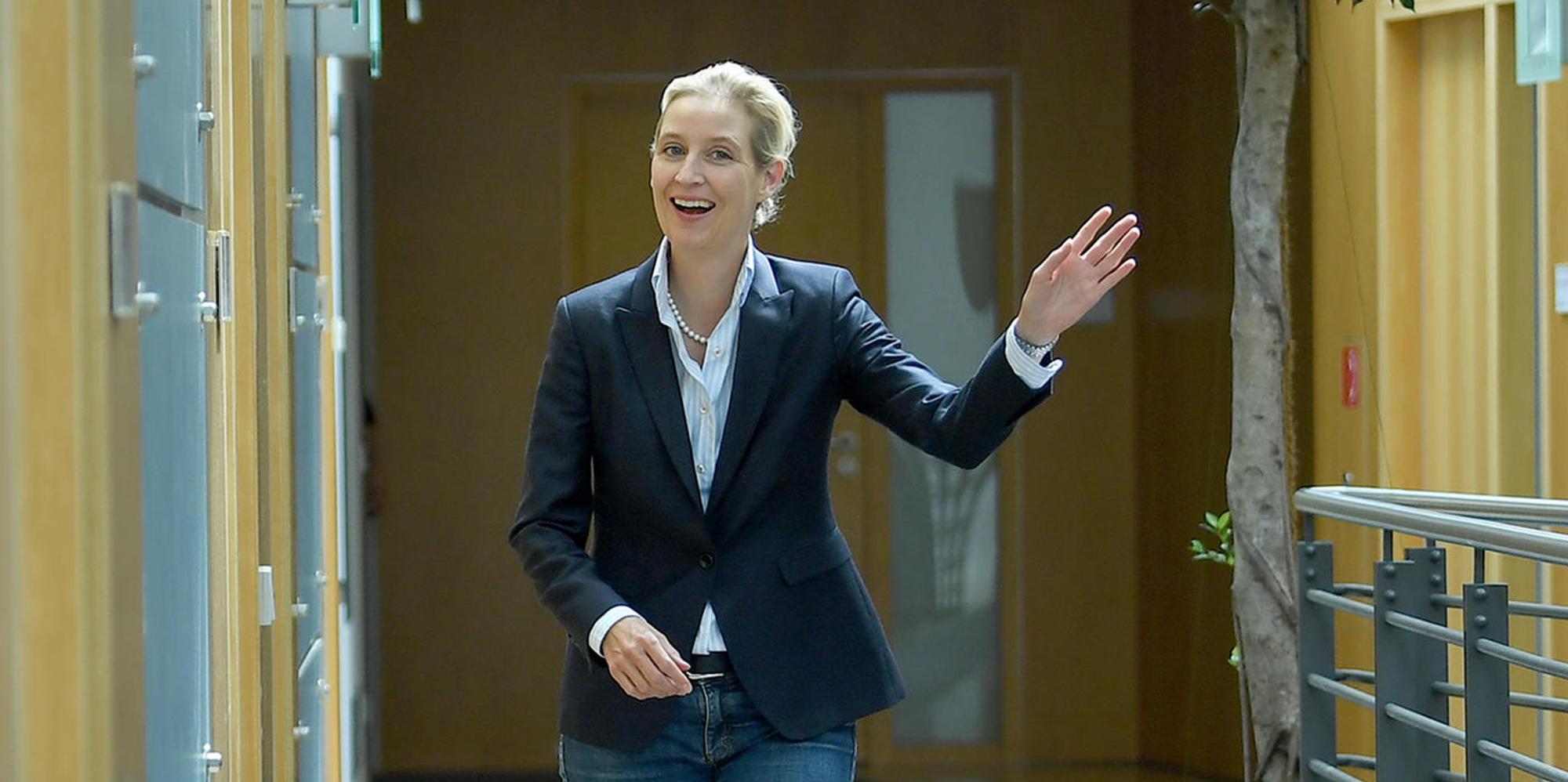 Weidel dpa neu (1)
