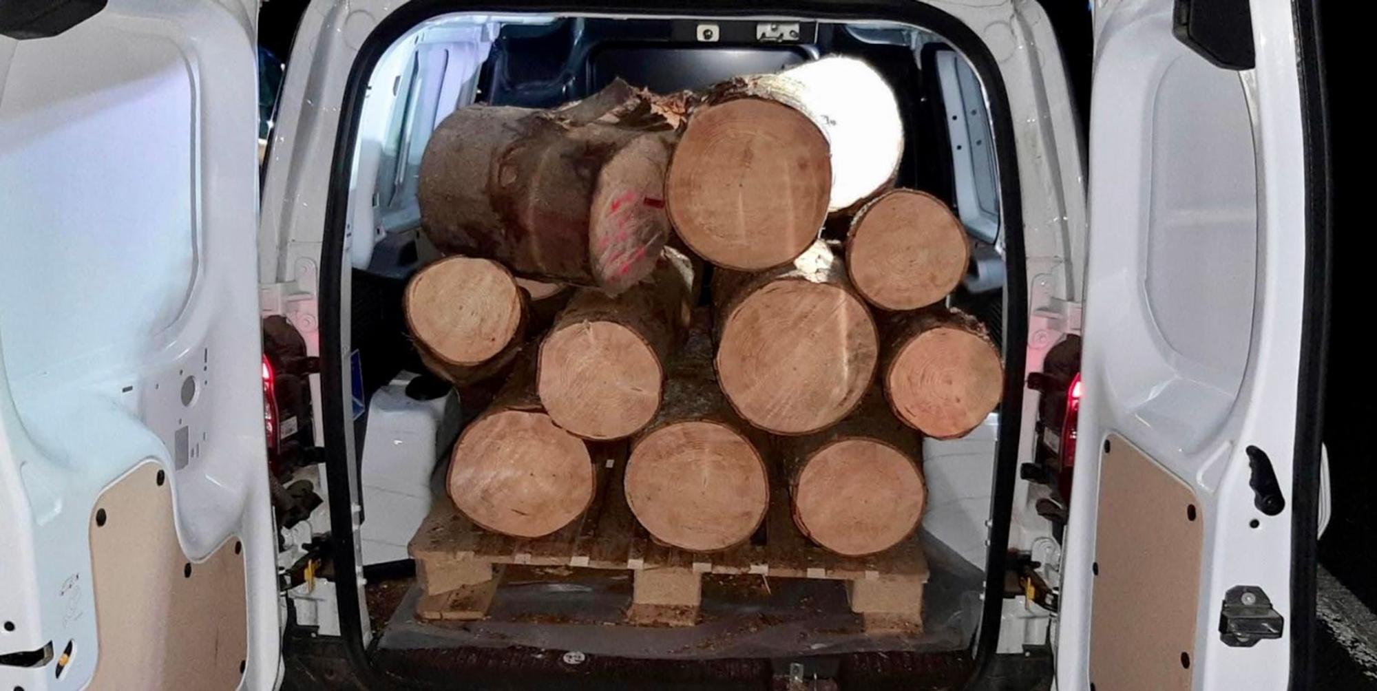 Holz Diebstahl