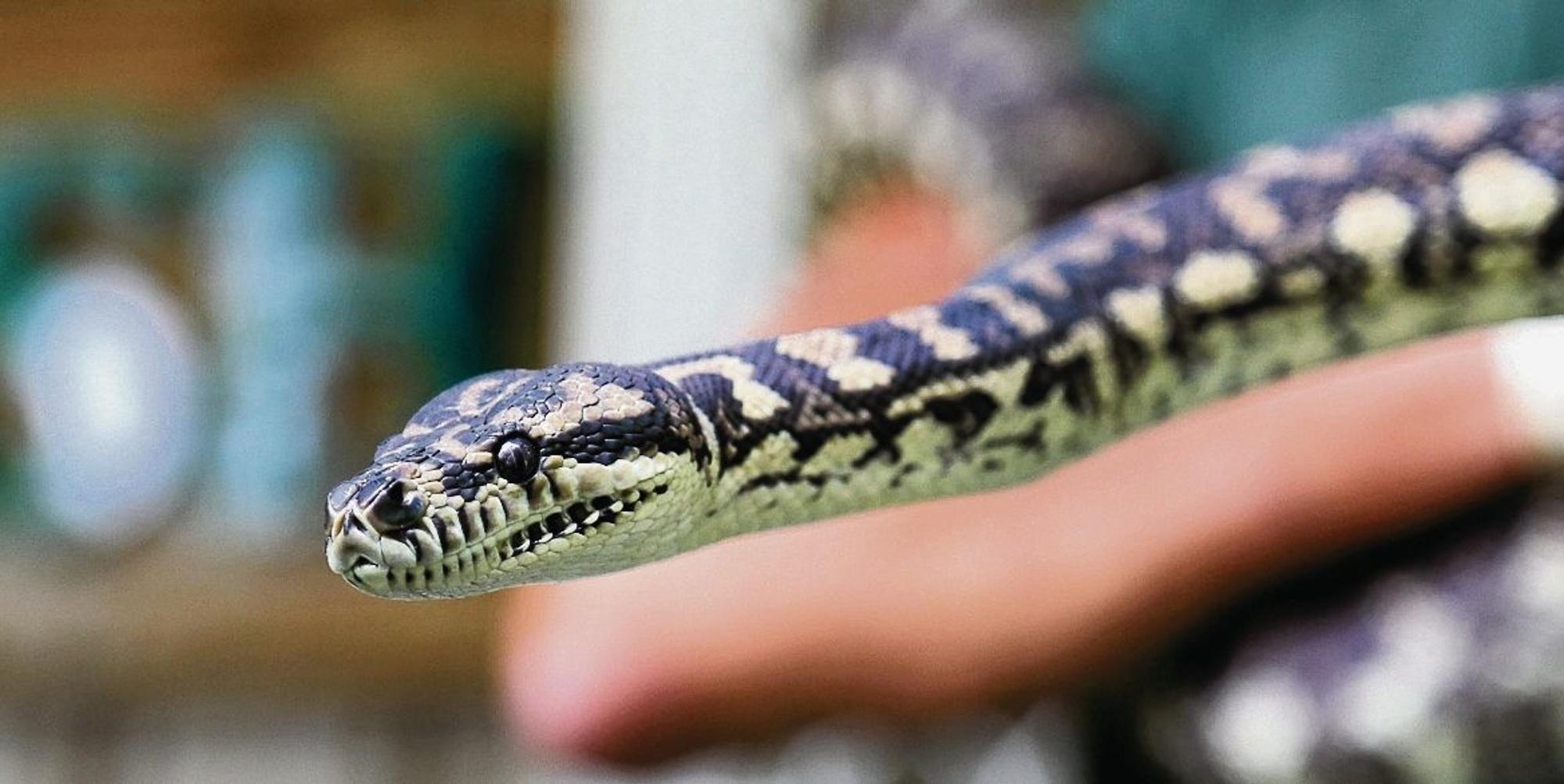 Python 170119