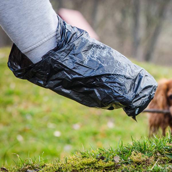 Hundekotbeutel_gegen_56706213