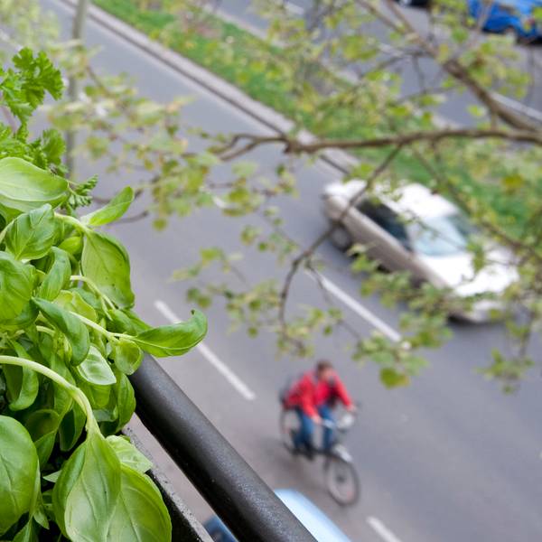 Apotheke auf dem Balkon