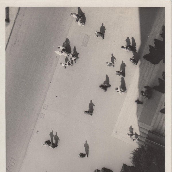 Menschen gehen über eine Straße und werfen Schatten.