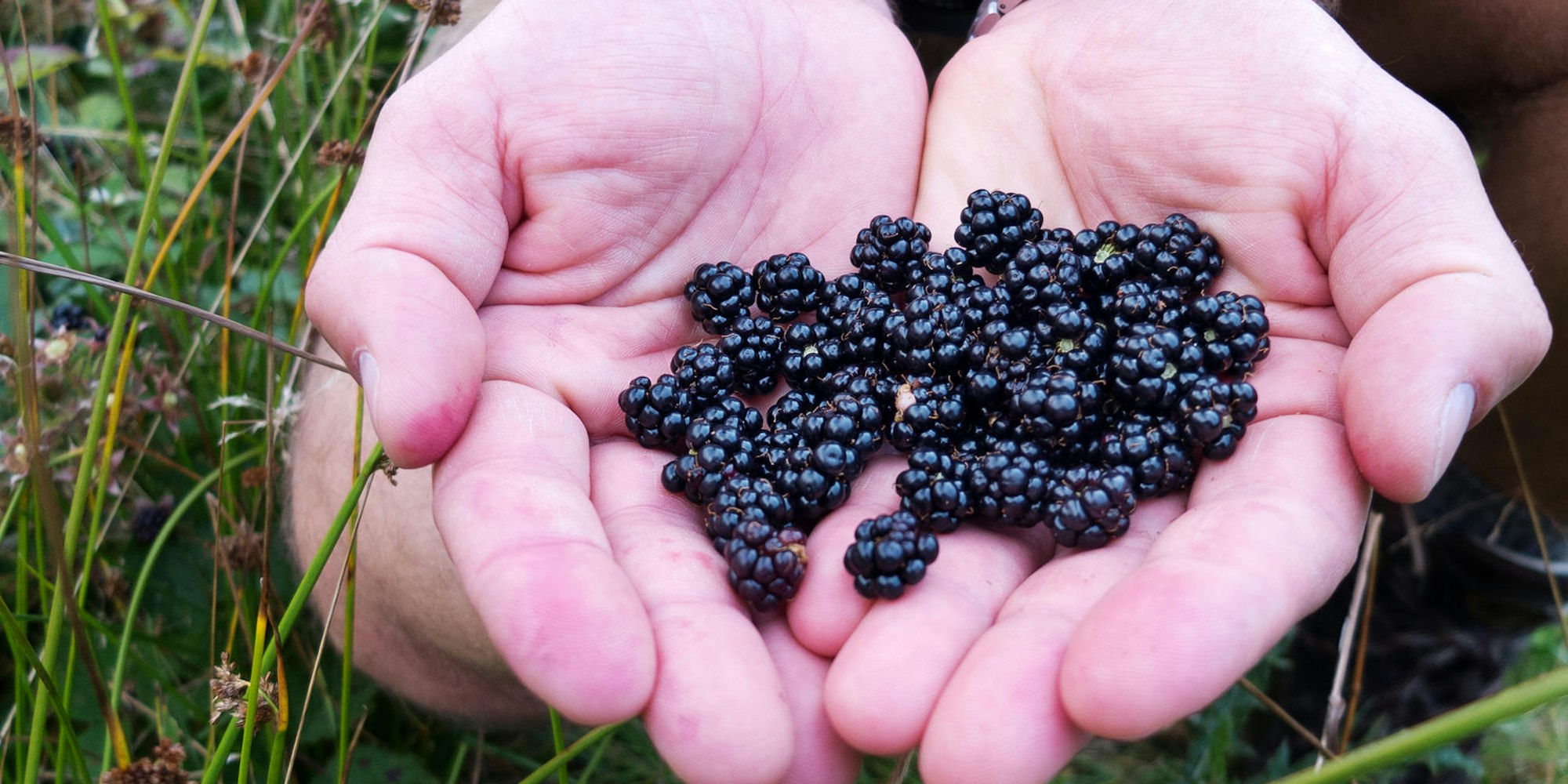 KINA_Freche_Fruechtc_50261730