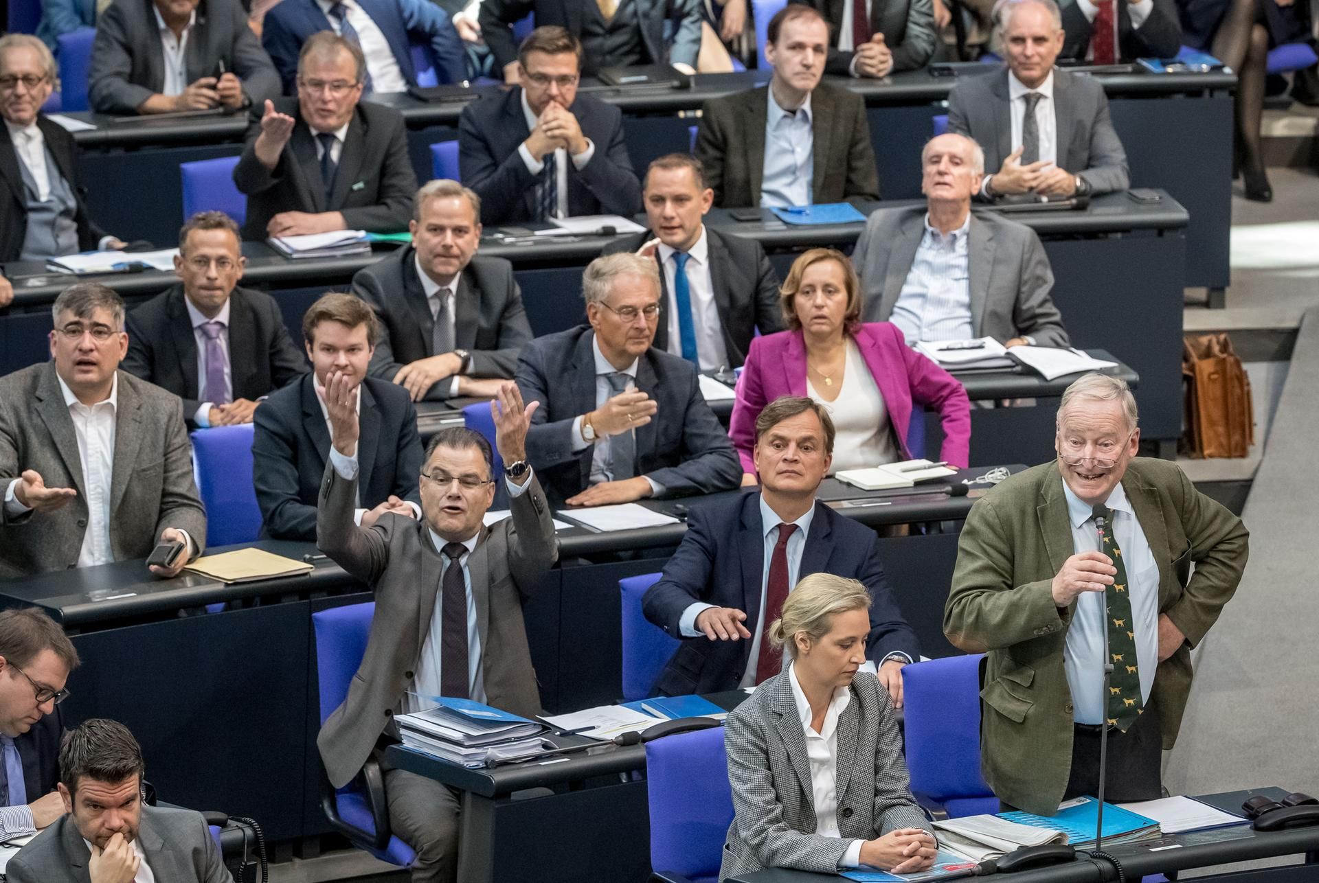 AfD Bundestag