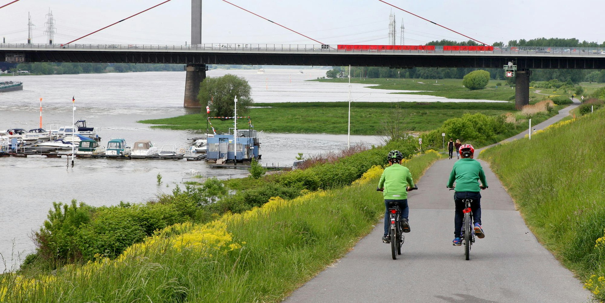 sommerserie dhünn mit rad Dhuenn-Runde_8719
