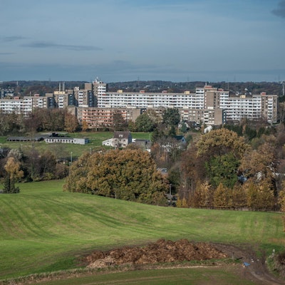 steinbuechel--leverkusen_ALF_2649