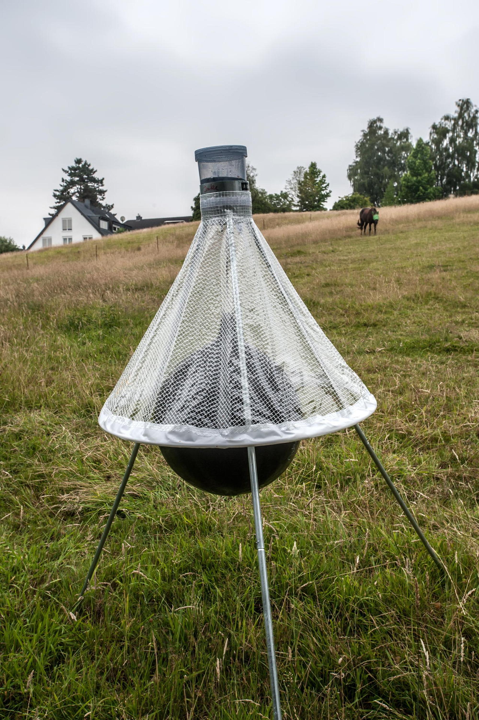 leverkusen-insektenfalle-ALF_2416