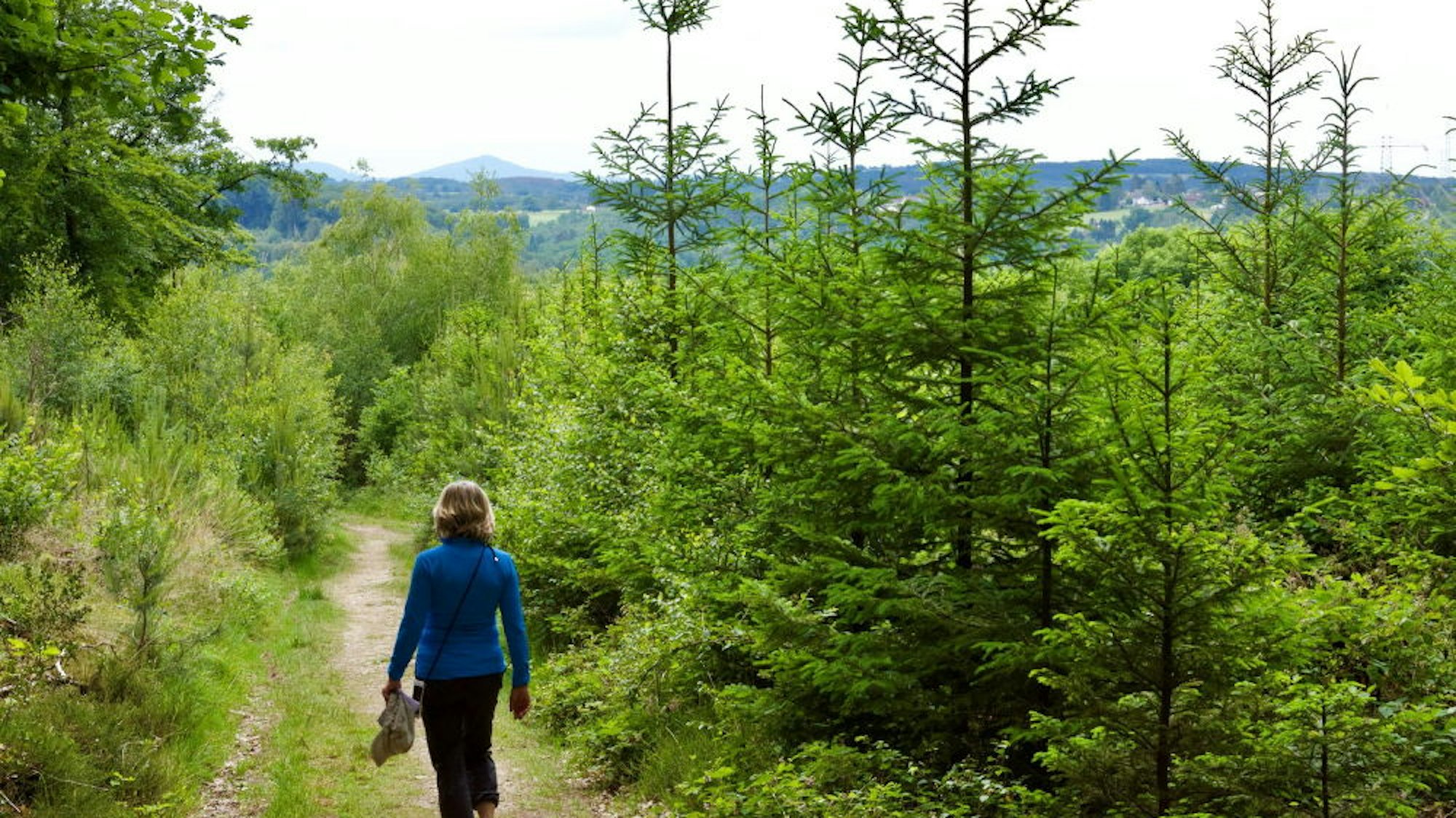 Eine Frau wandert durchs Grüne.