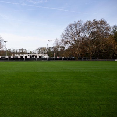 20201109_tb_Geissbockheim_001