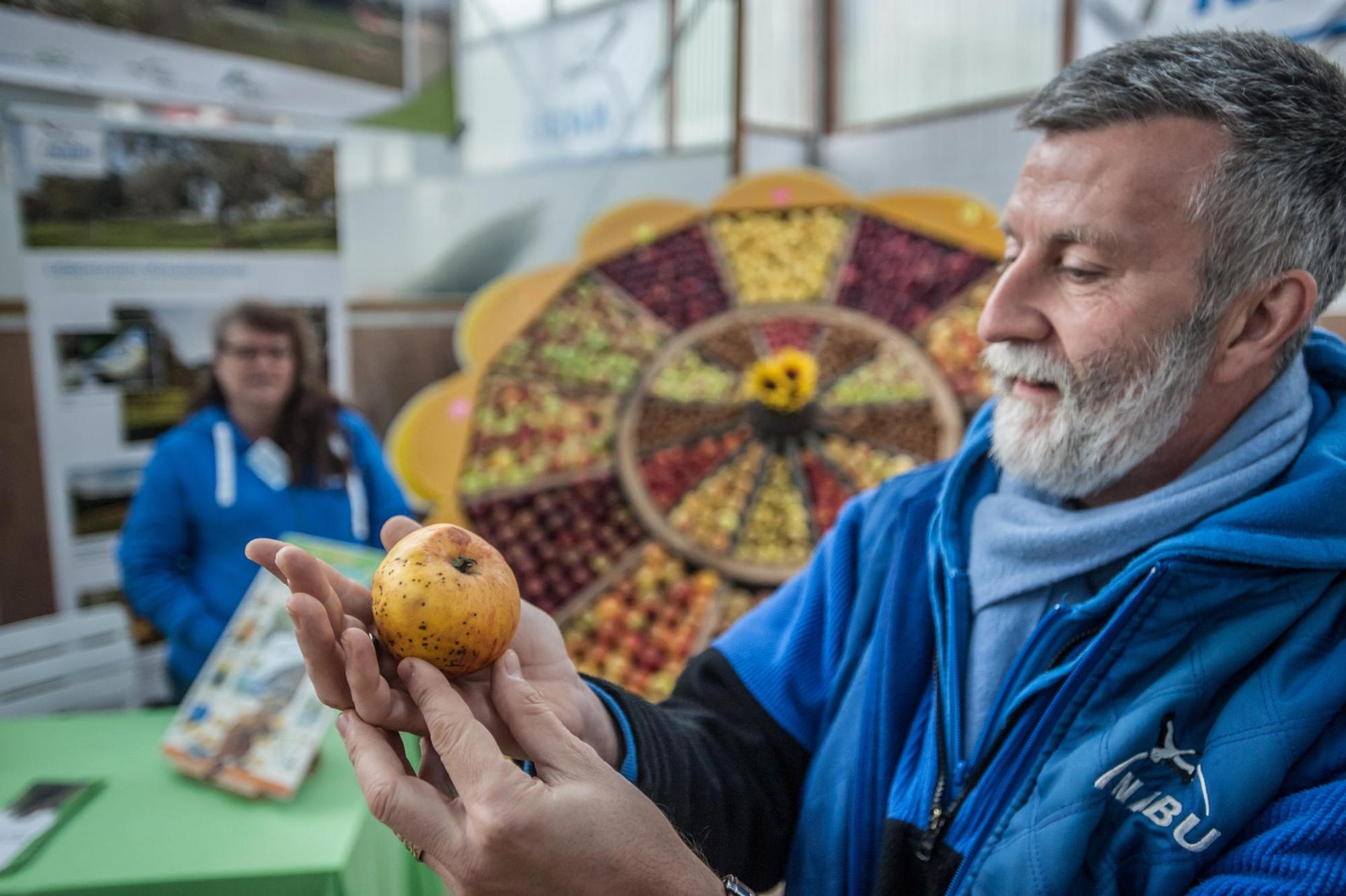 leichlingen-obstmarkt--ALF_7444