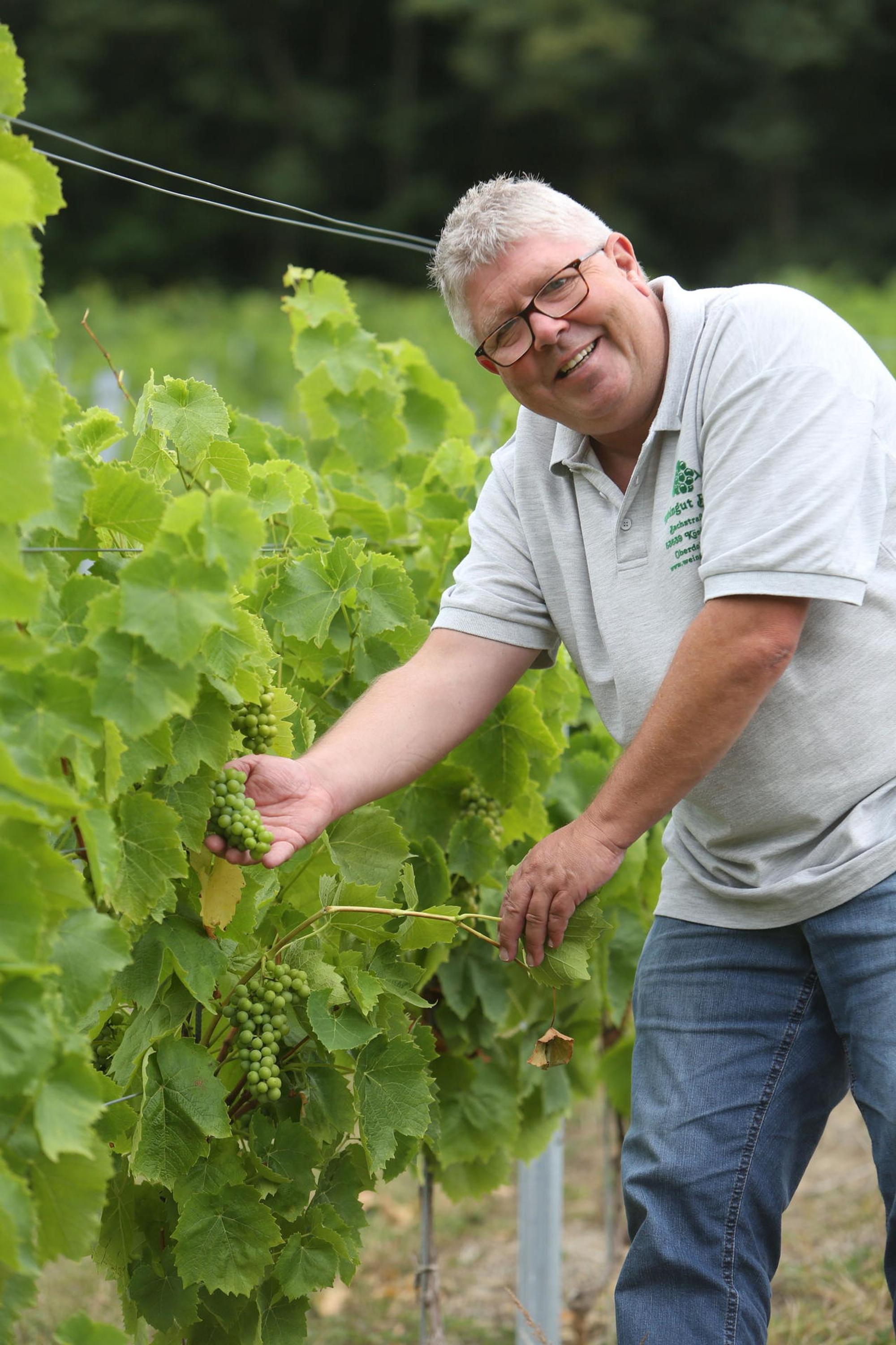 k_weinprobe_weingut_bloeser_oberdollendorf_012_rkl