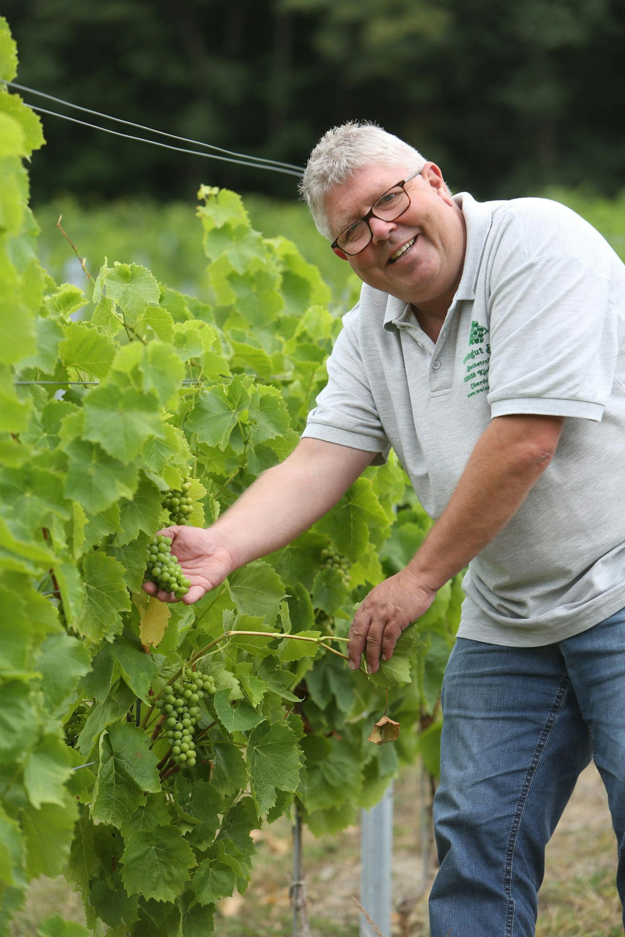 k_weinprobe_weingut_bloeser_oberdollendorf_012_rkl