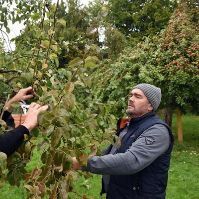 20221002_ds_Obstwiesenfet_LVR Museum_Lindlar16