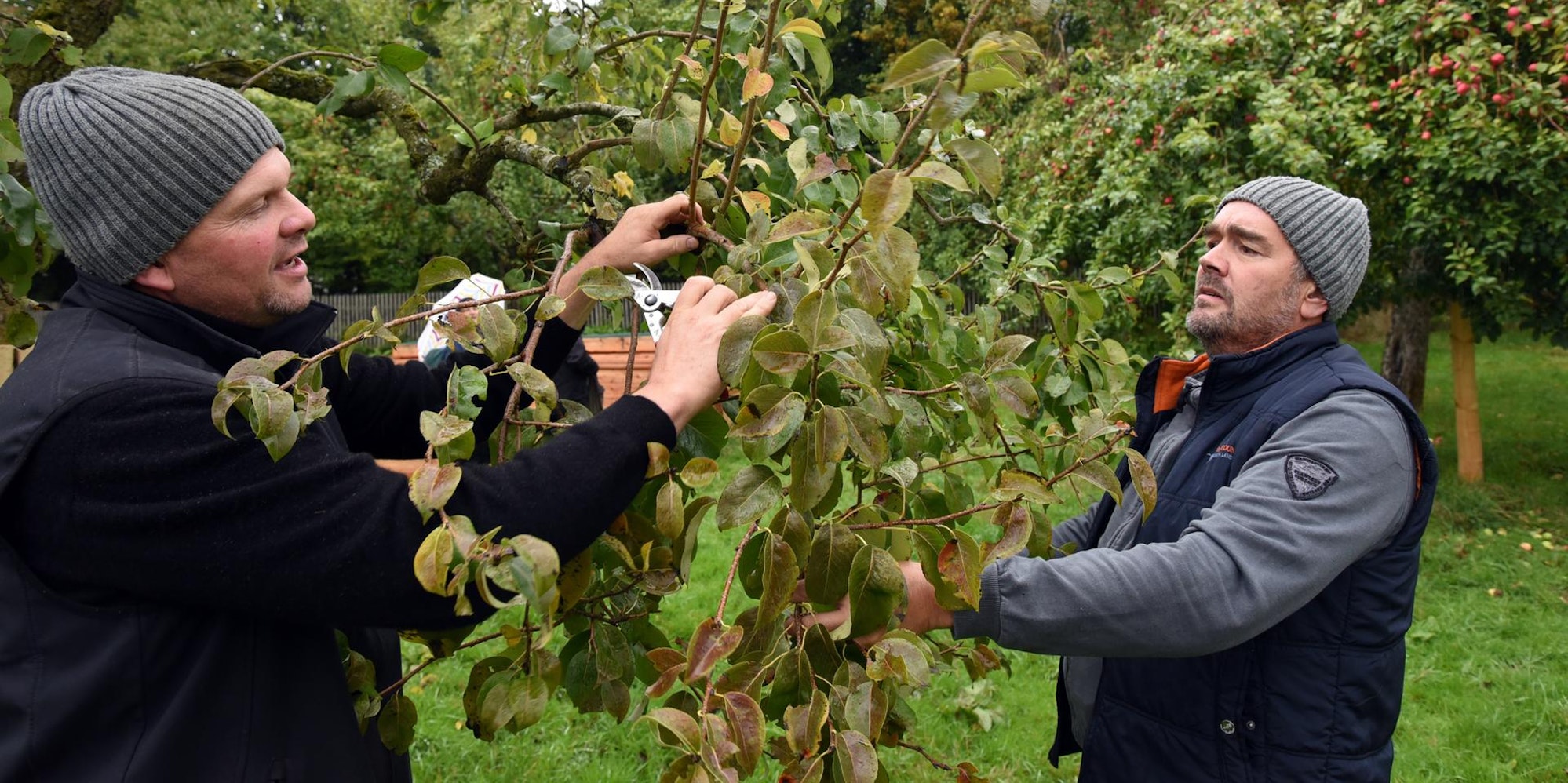 20221002_ds_Obstwiesenfet_LVR Museum_Lindlar16