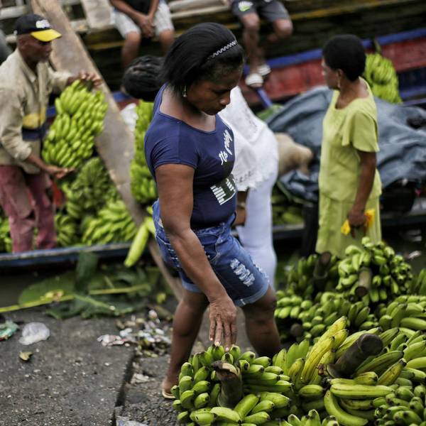Bananen Kolumbien