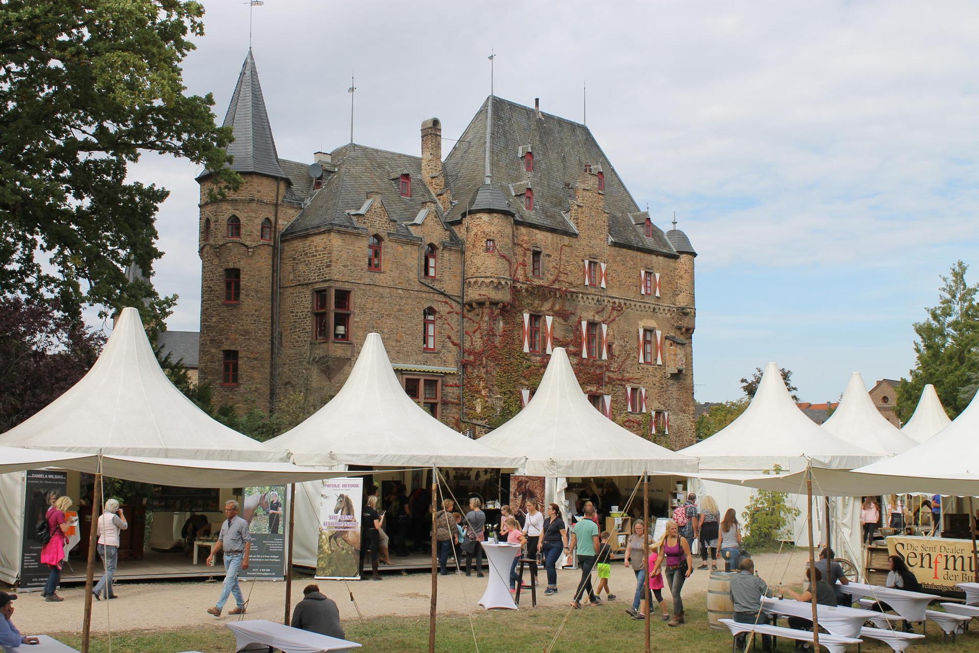 Burg Satzvey