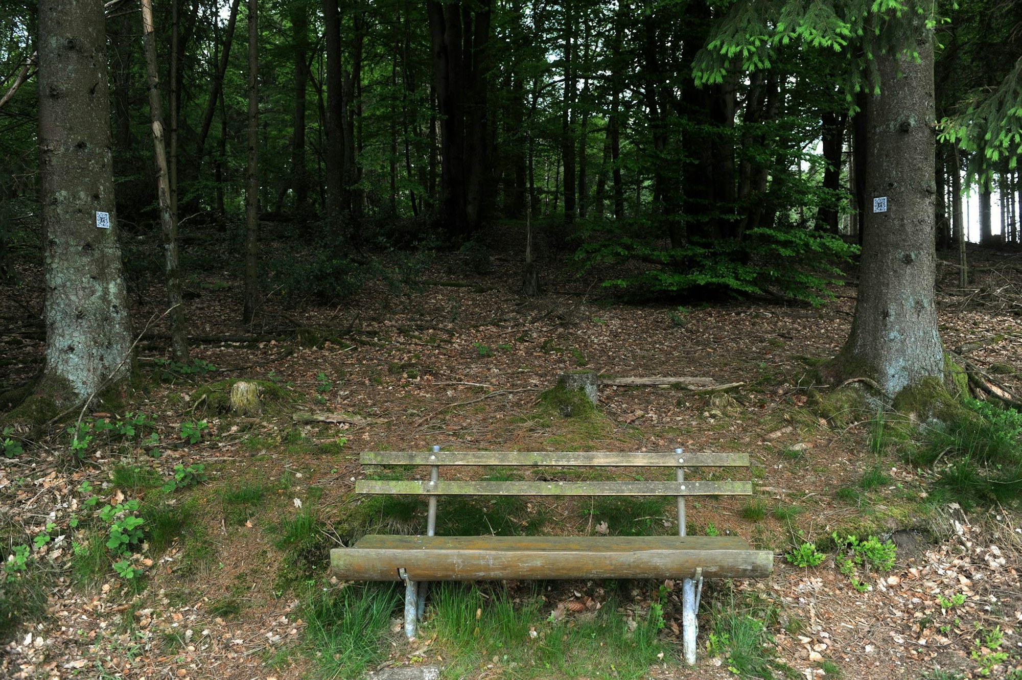 290519Rheinland-Lutherweg11