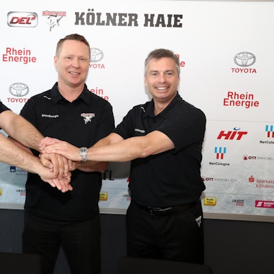 Trainer Haie