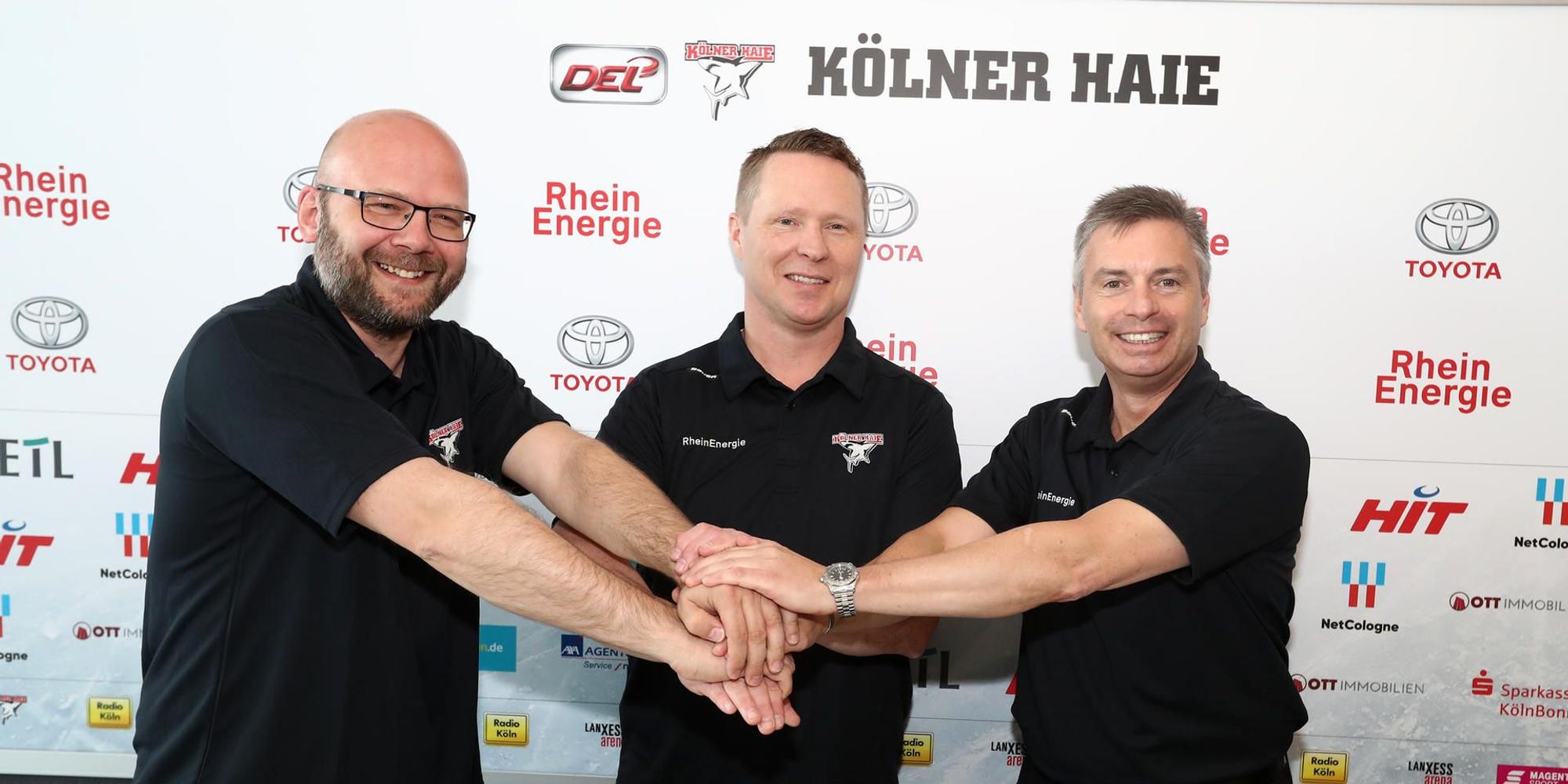 Trainer Haie