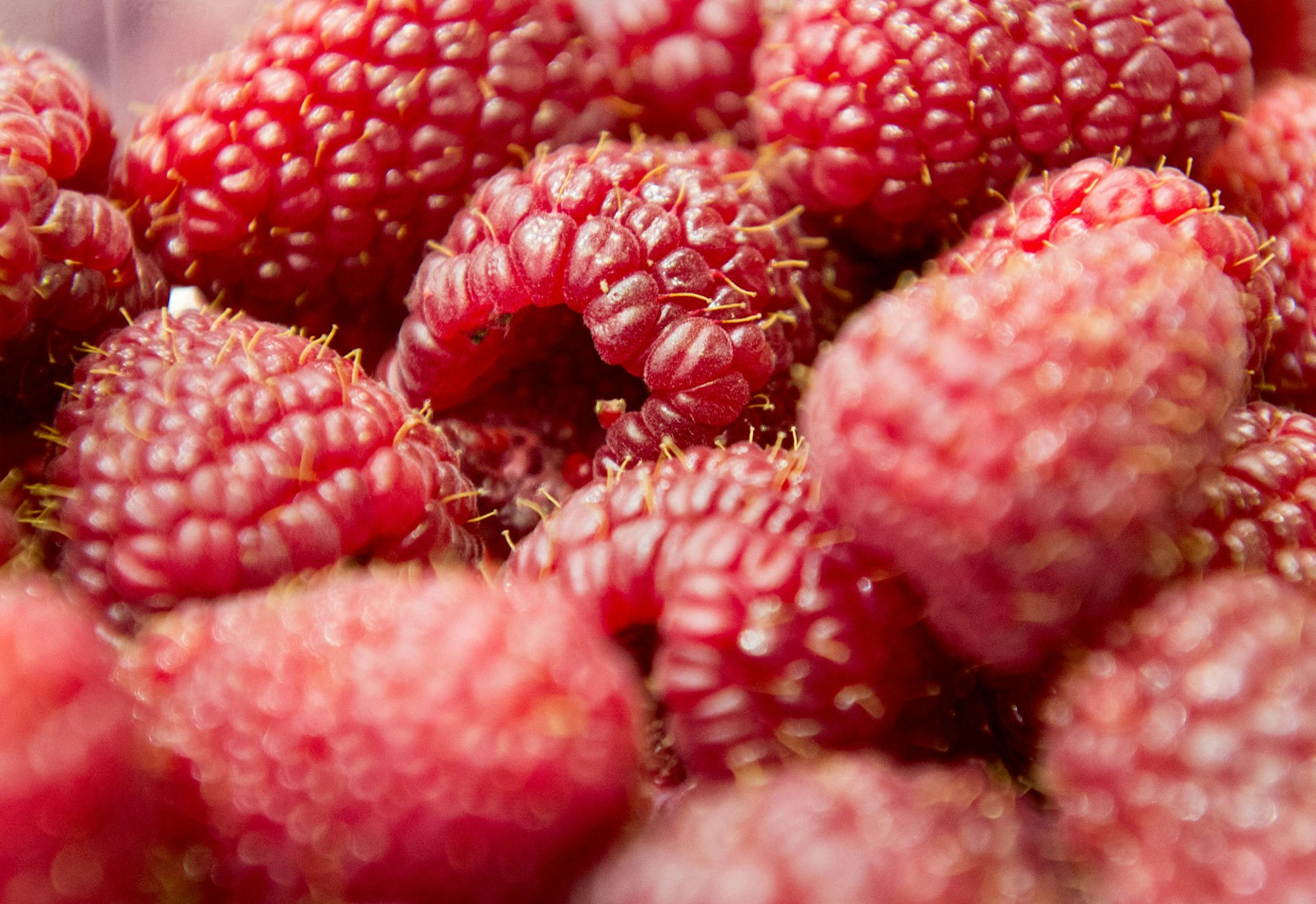 himbeeren