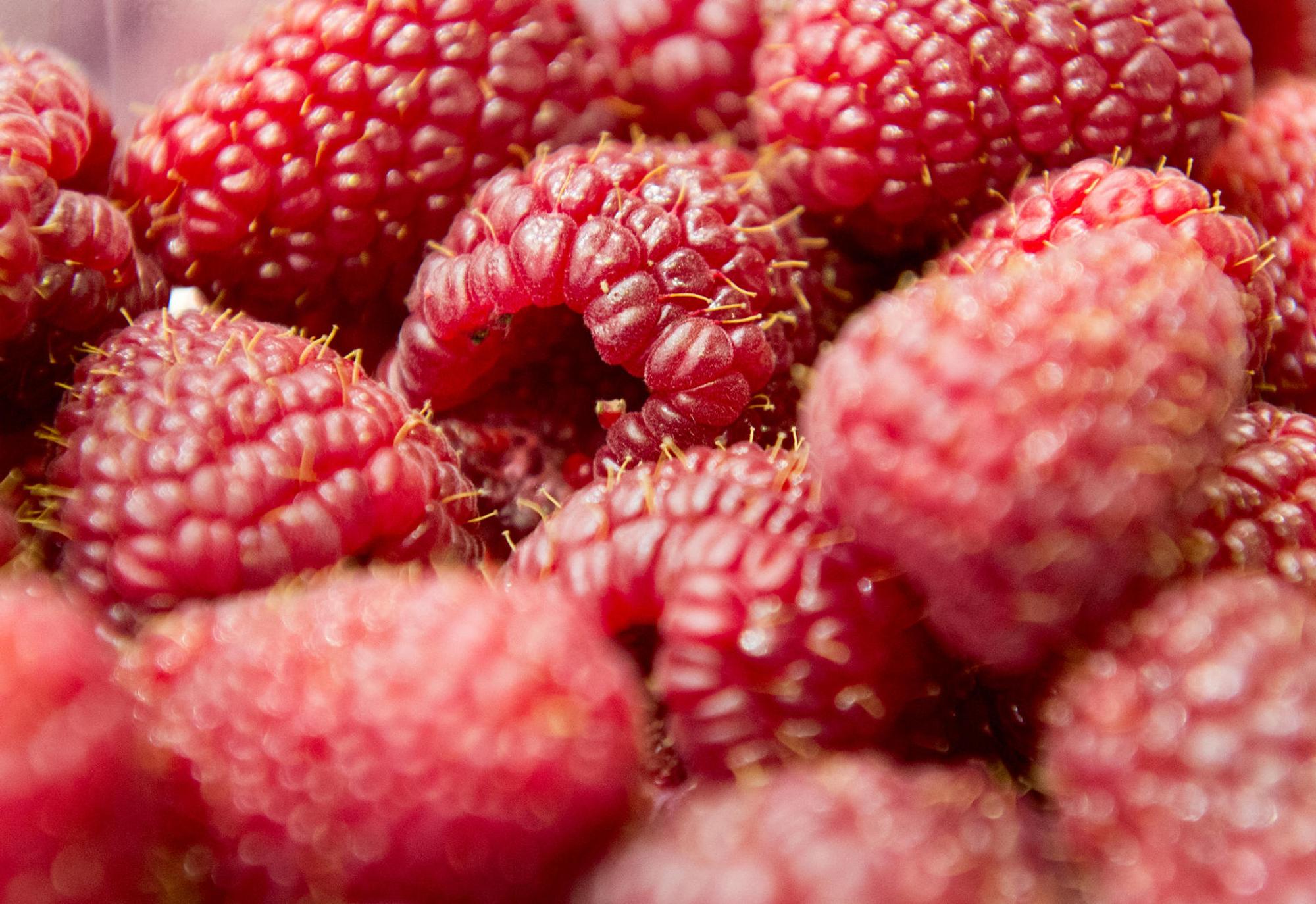 himbeeren
