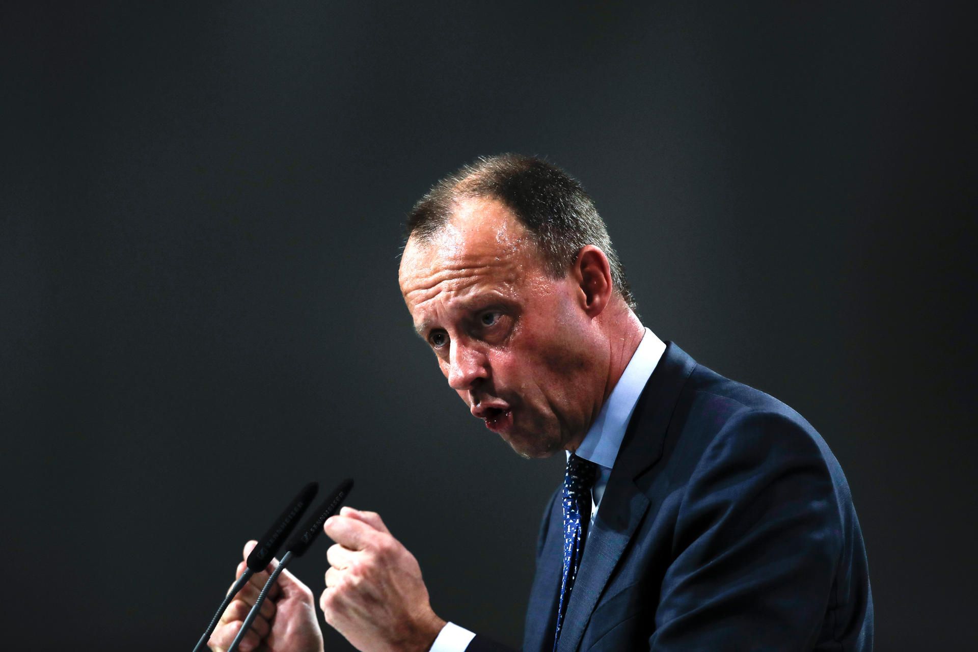 Friedrich Merz