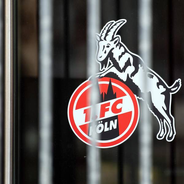 Neuer Inhalt