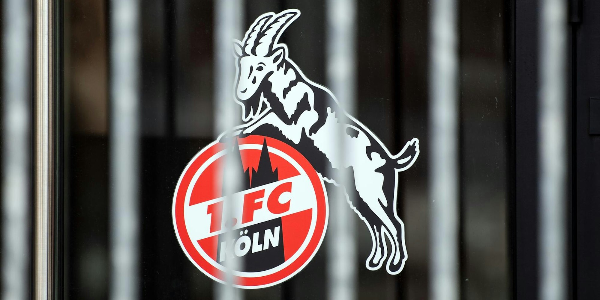 Neuer Inhalt