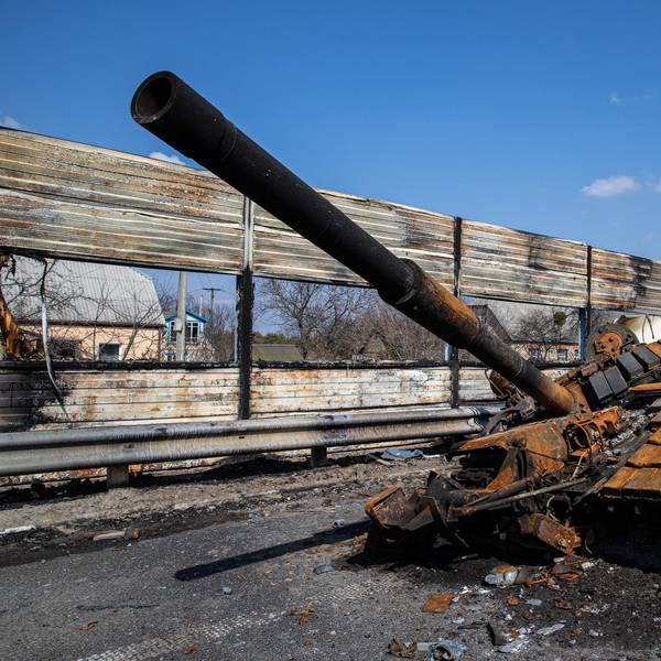 Panzer Ukraine (1)