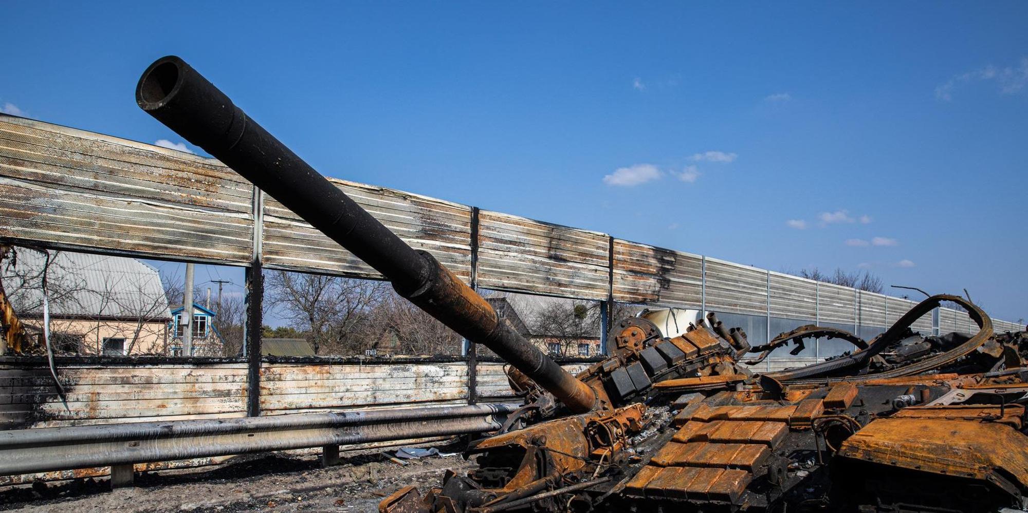 Panzer Ukraine (1)