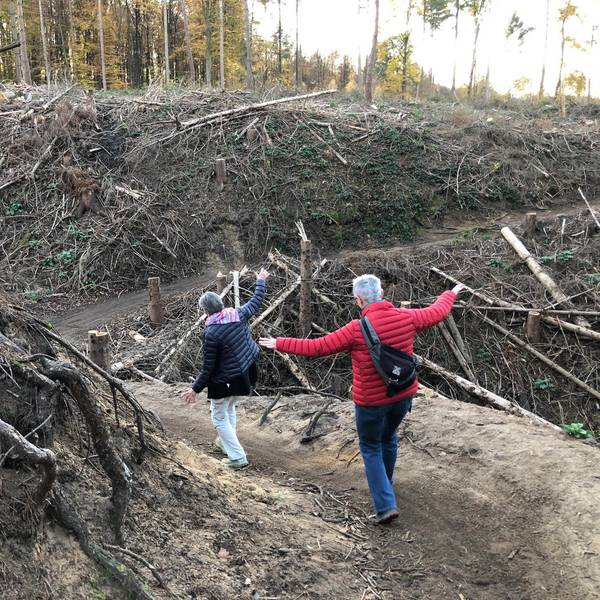 Lohmar_Waldpfad1