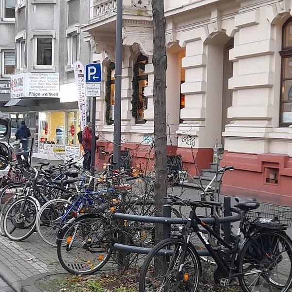 bes-radparken-ehr02