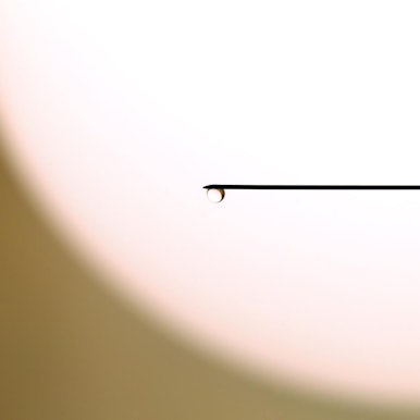 Spritze Symbolbild Impfung