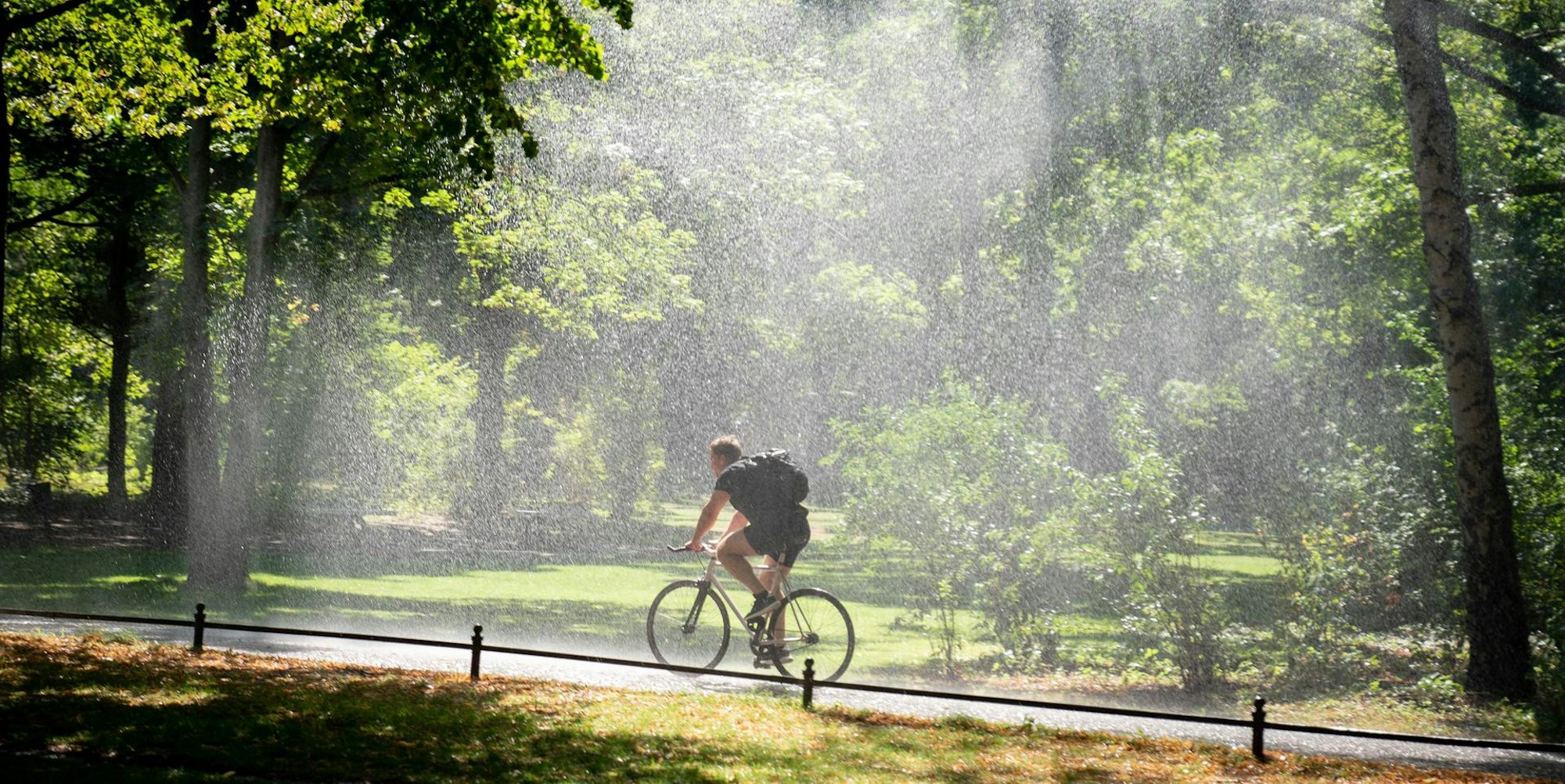 Fahrrad
