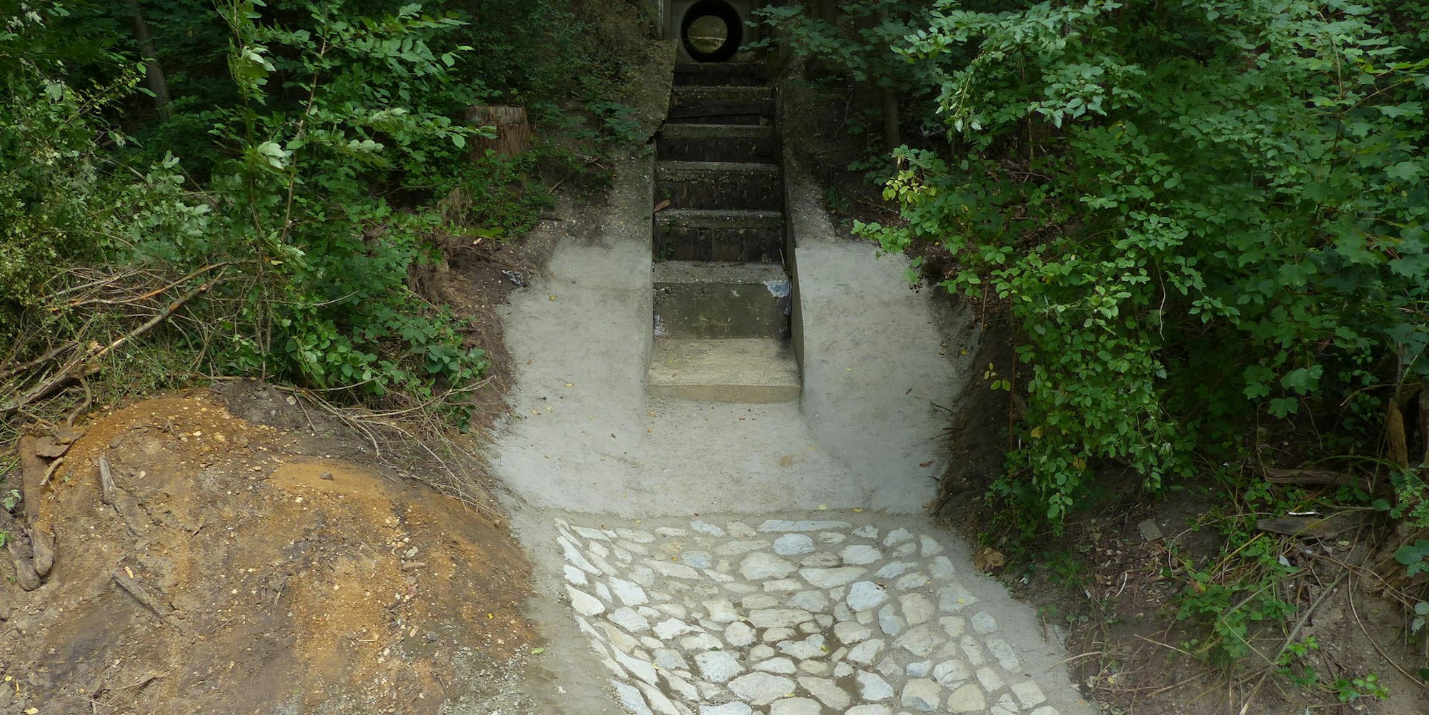 20220311-ber-fischbach-ablauf