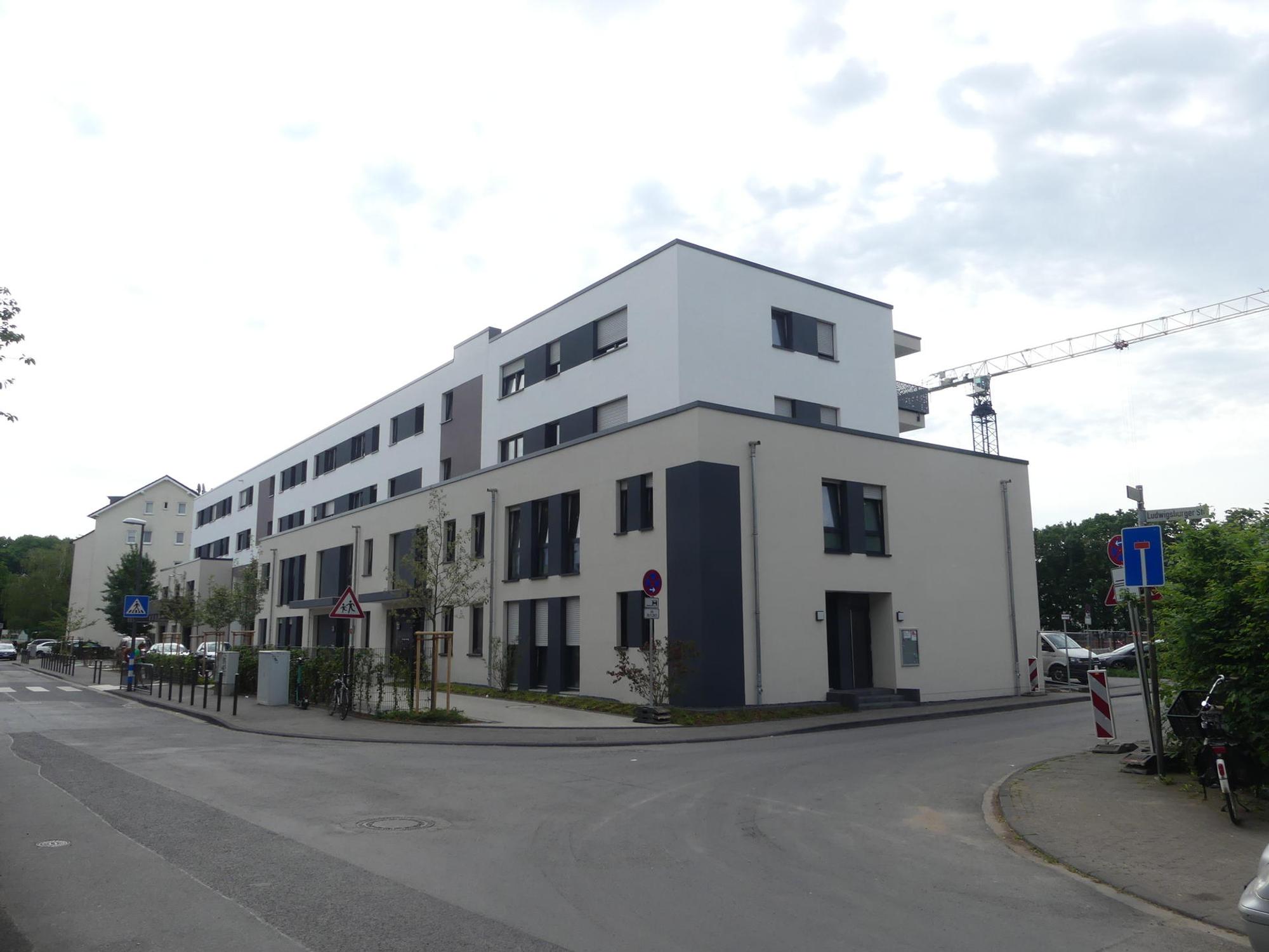 Roes-Liebig2
