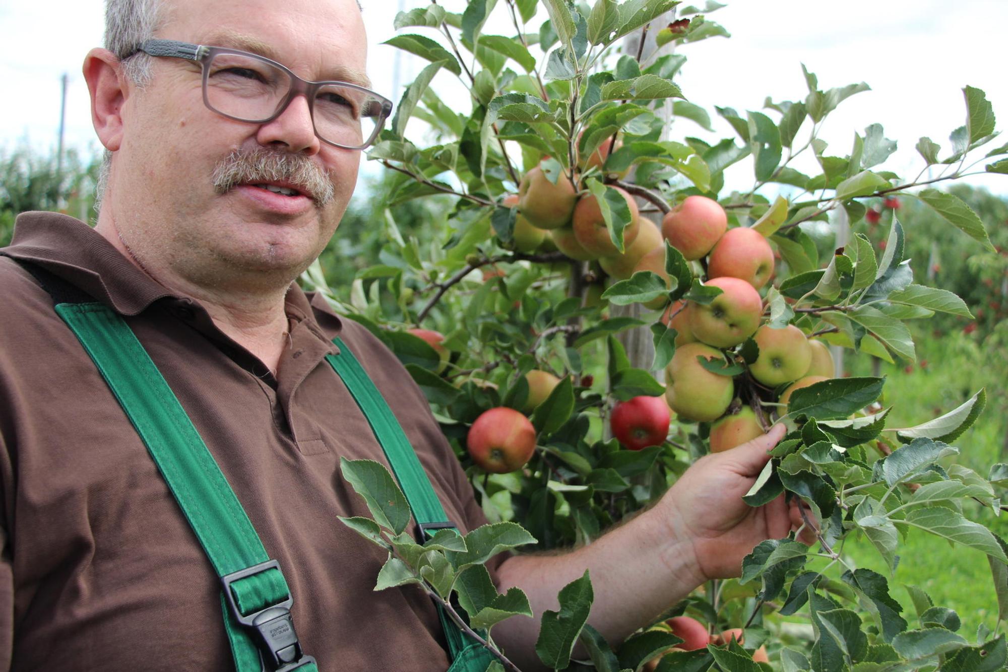 Obstplantage2