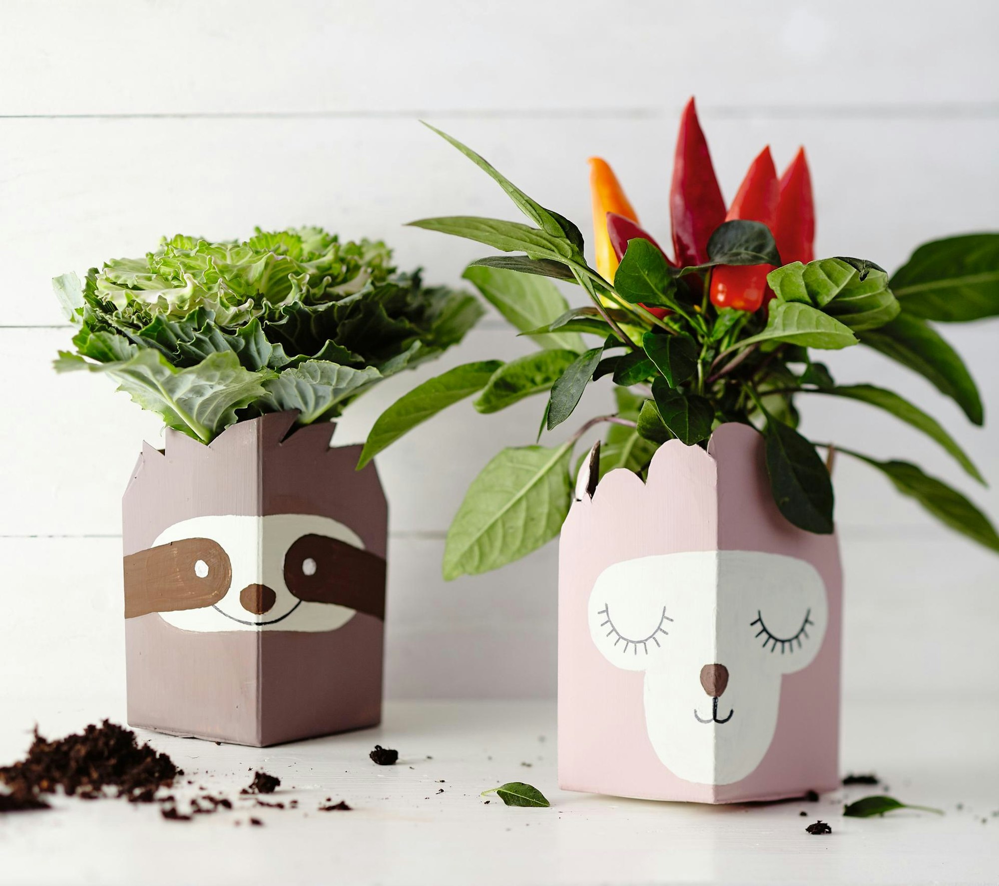 (c)frechverlag_TOPP_8460_Bild_S_74