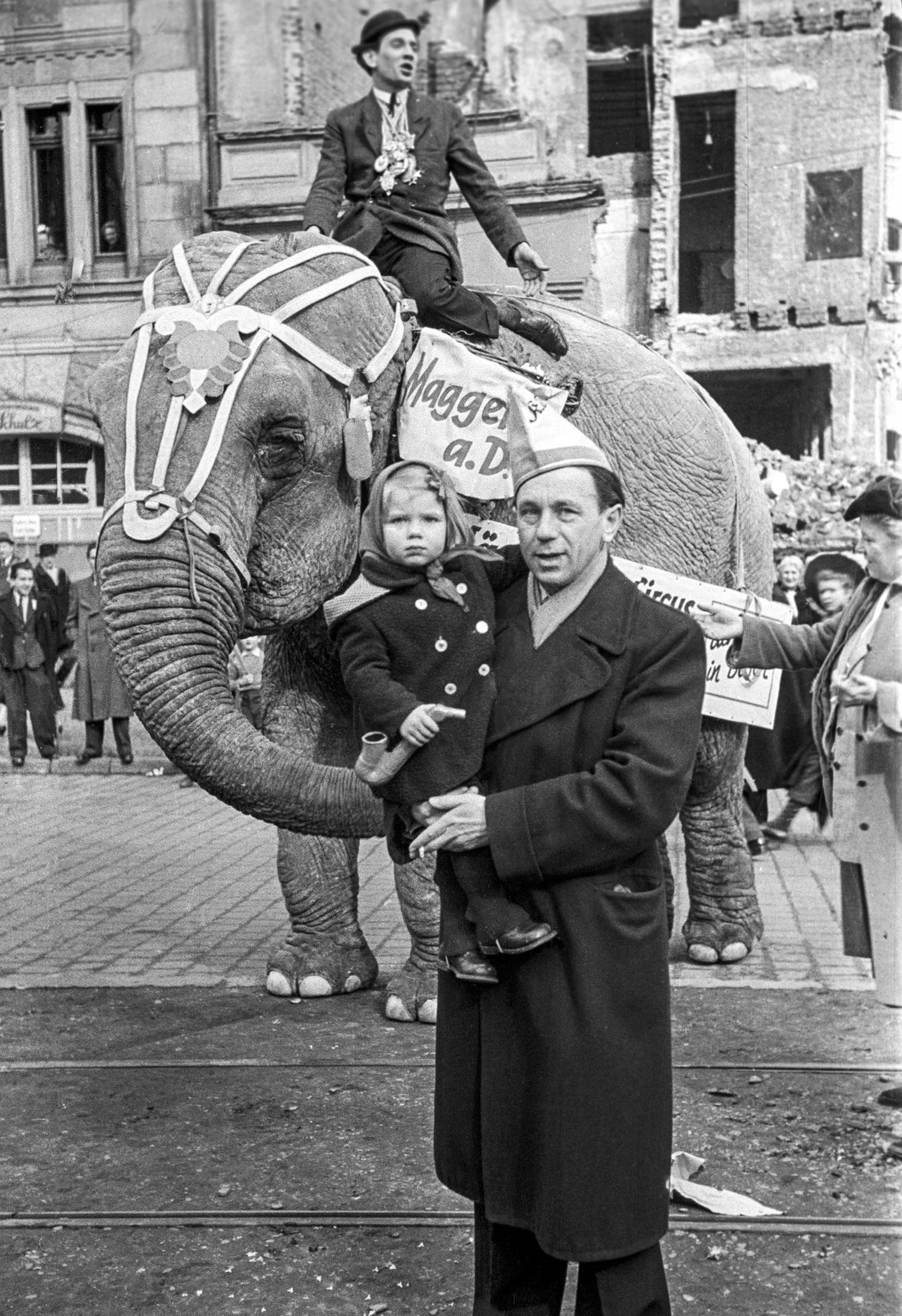 Karneval historisch Elefant