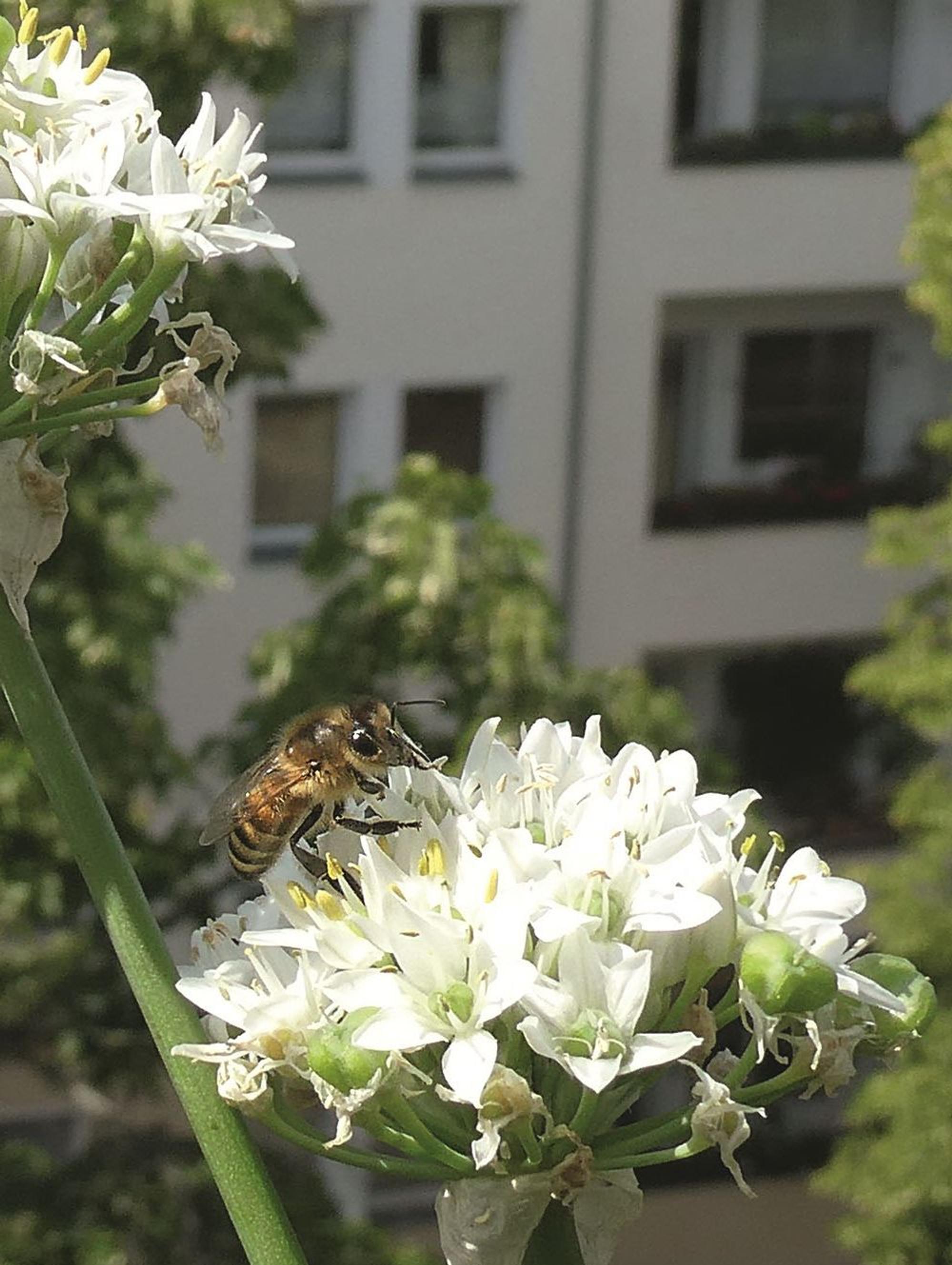 Neuer Inhalt