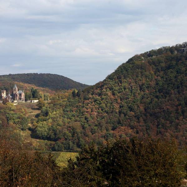 Drachenfels_1
