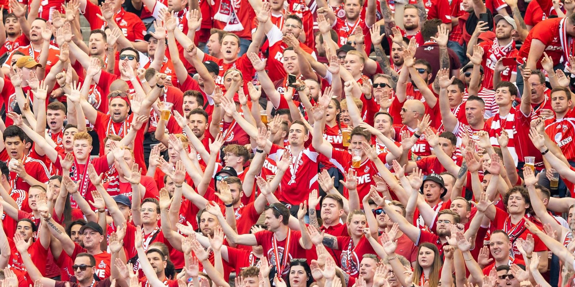FC Fans Block