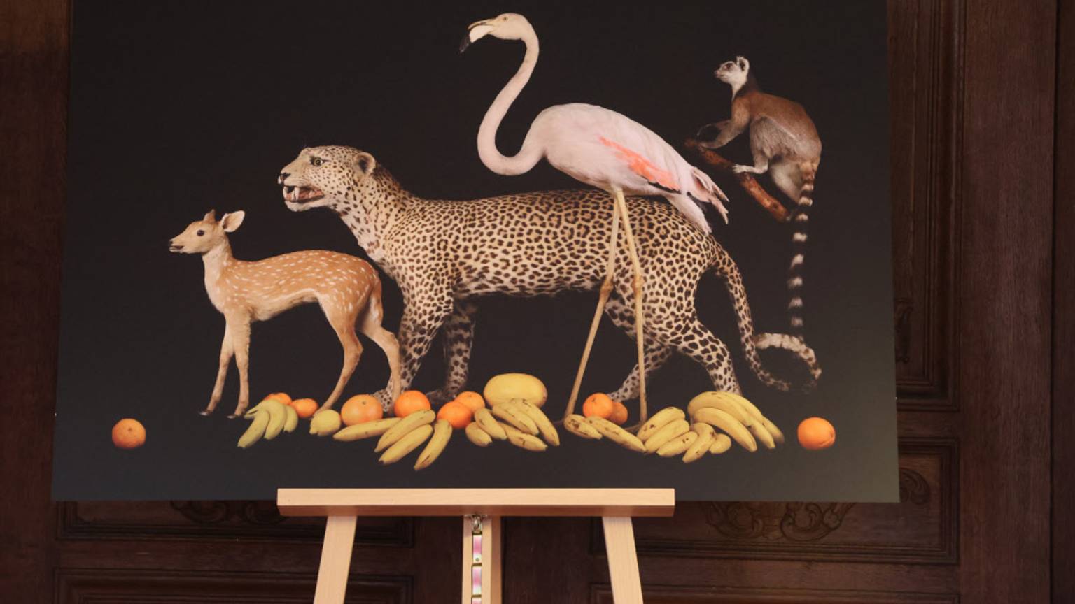 OB Schlossausstellung