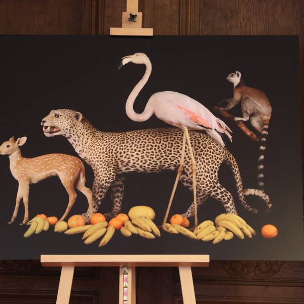 OB Schlossausstellung