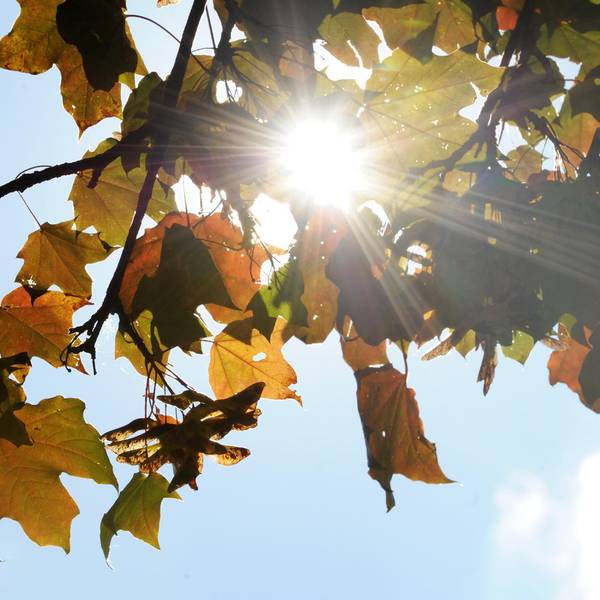 Herbst