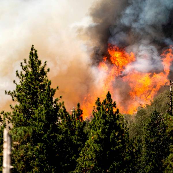 Waldbrände Kalifornien 250722