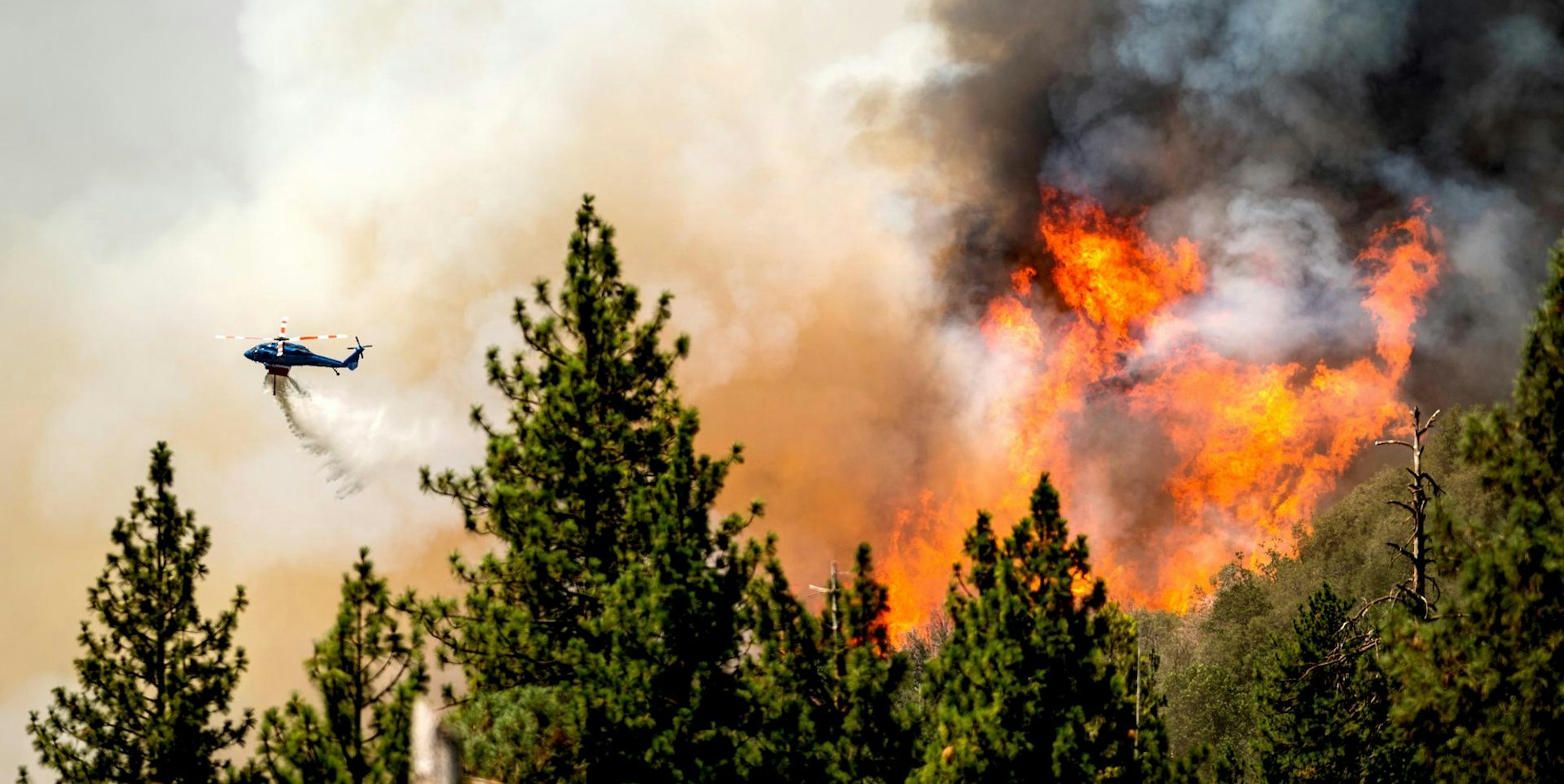 Waldbrände Kalifornien 250722